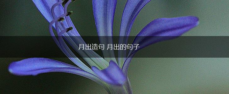 月出造句 月出的句子,第1张 月出造句 月出的句子,第1张