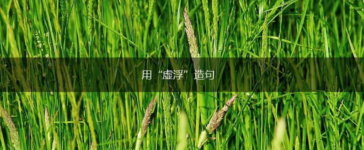 用“虚浮”造句,第1张