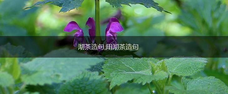 沏茶造句,用沏茶造句,第1张
