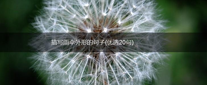 描写雨伞外形的句子(优选20句),第1张