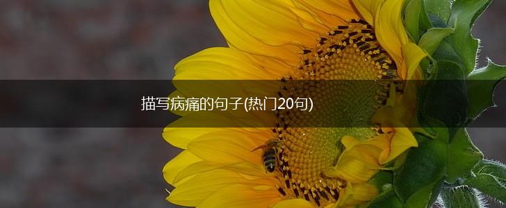 描写病痛的句子(热门20句),第1张
