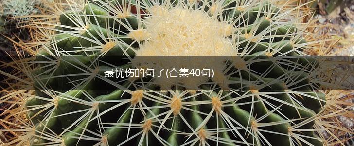 最忧伤的句子(合集40句),第1张