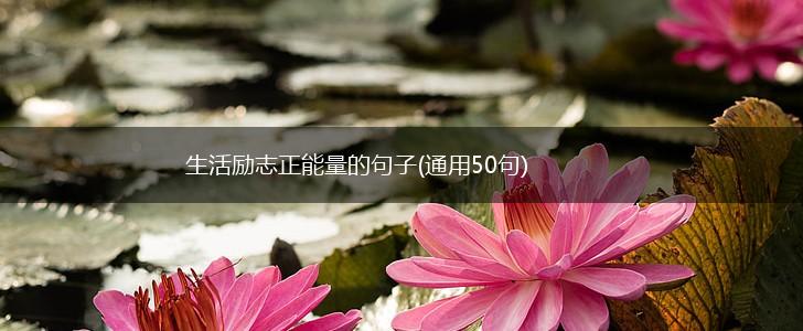 生活励志正能量的句子(通用50句),第1张