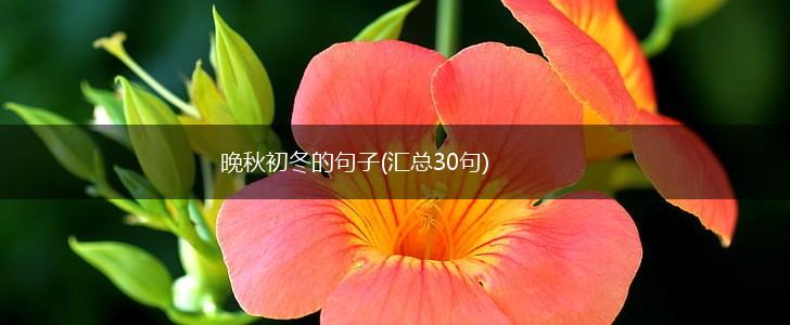 晚秋初冬的句子(汇总30句),第1张