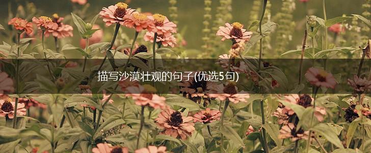 描写沙漠壮观的句子(优选5句),第1张