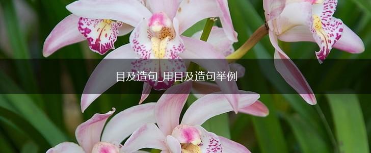 目及造句_用目及造句举例,第1张 目及造句_用目及造句举例,第1张