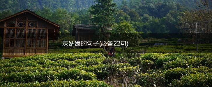 灰姑娘的句子(必备22句),第1张