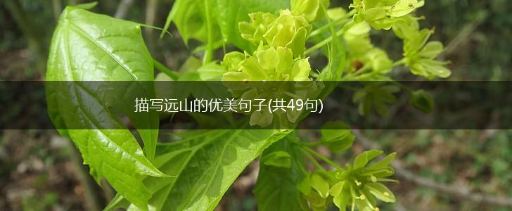 描写远山的优美句子(共49句),第1张