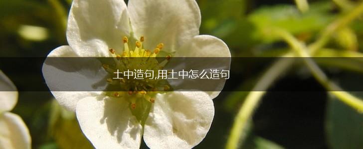 土中造句,用土中怎么造句,第1张 土中造句,用土中怎么造句,第1张