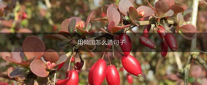 用倾国怎么造句子,第1张