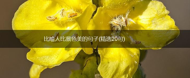 比喻人比景色美的句子(精选20句),第1张