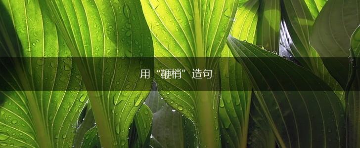 用“鞭梢”造句,第1张