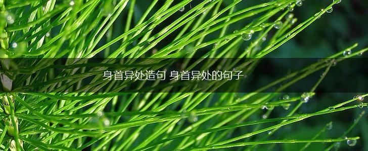 身首异处造句 身首异处的句子,第1张 身首异处造句 身首异处的句子,第1张