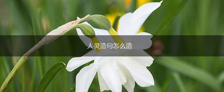 人灵造句怎么造,第1张
