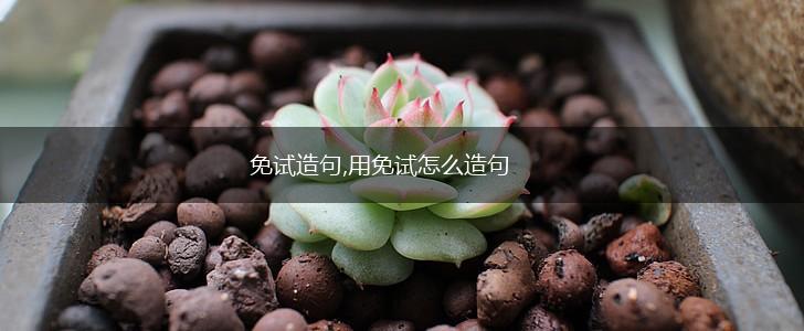 免试造句,用免试怎么造句,第1张