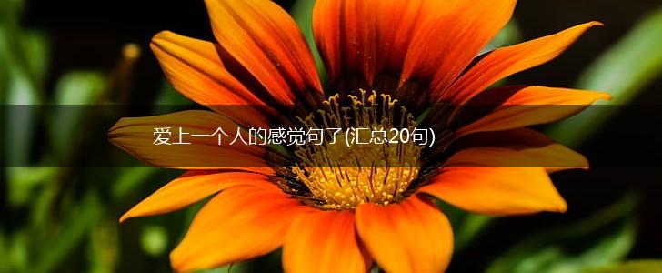 爱上一个人的感觉句子(汇总20句),第1张