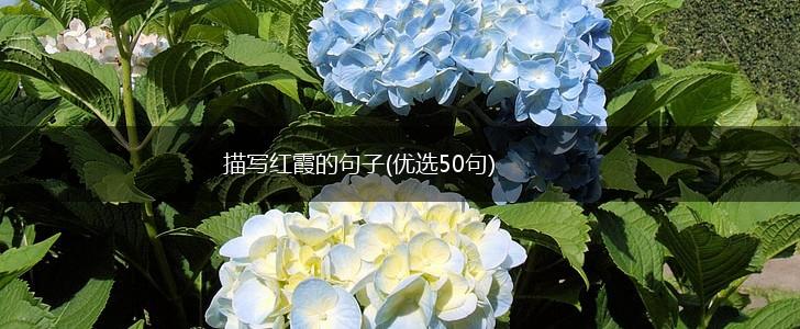 描写红霞的句子(优选50句),第1张