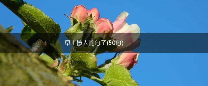 早上撩人的句子(50句),第1张