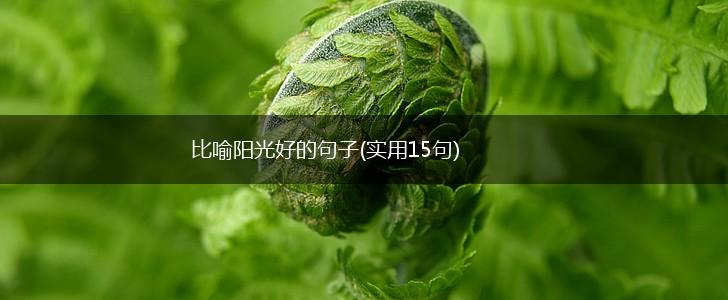 比喻阳光好的句子(实用15句),第1张