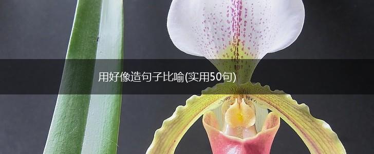 用好像造句子比喻(实用50句),第1张