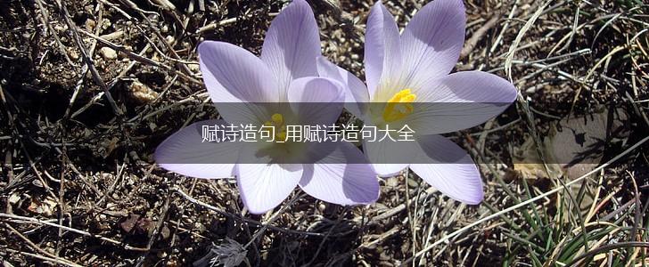 赋诗造句_用赋诗造句大全,第1张