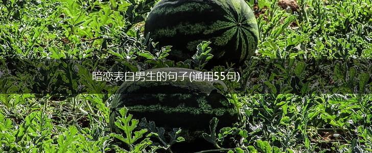 暗恋表白男生的句子(通用55句),第1张