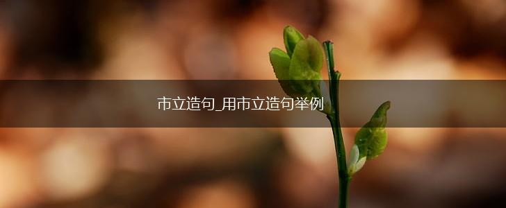 市立造句_用市立造句举例,第1张