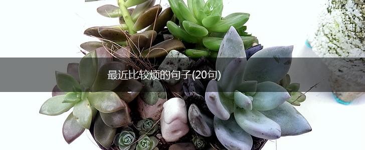 最近比较烦的句子(20句),第1张