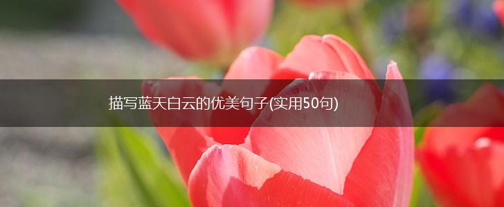 描写蓝天白云的优美句子(实用50句),第1张