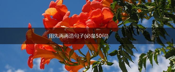 用先再再造句子(必备50句),第1张