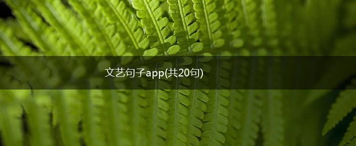文艺句子app(共20句),第1张