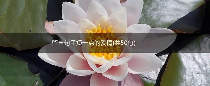 留言句子短一点的爱情(共50句),第1张
