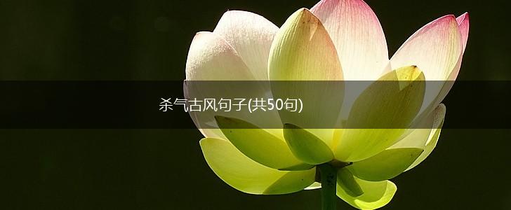 杀气古风句子(共50句),第1张