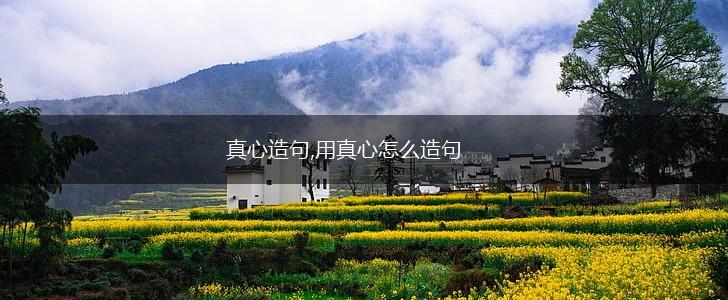 真心造句,用真心怎么造句,第1张 真心造句,用真心怎么造句,第1张