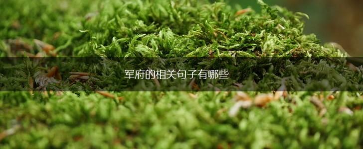 军府的相关句子有哪些,第1张
