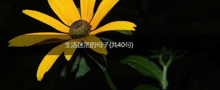 生活迷茫的句子(共40句),第1张
