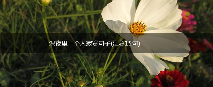 深夜里一个人寂寞句子(汇总15句),第1张