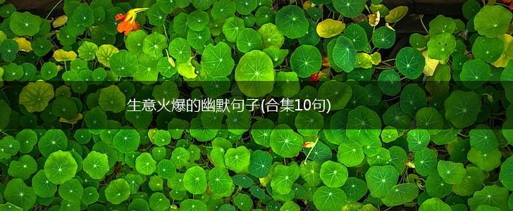 生意火爆的幽默句子(合集10句),第1张