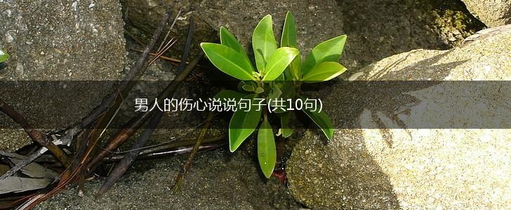 男人的伤心说说句子(共10句),第1张