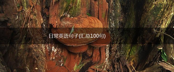 日常英语句子(汇总100句),第1张