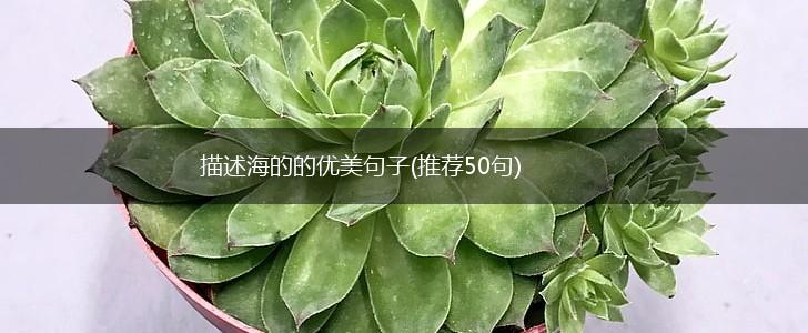 描述海的的优美句子(推荐50句),第1张