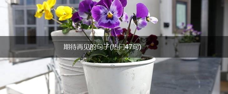 期待再见的句子(热门47句),第1张