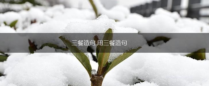 三餐造句,用三餐造句,第1张