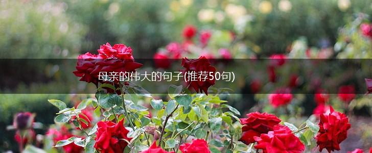 母亲的伟大的句子(推荐50句),第1张