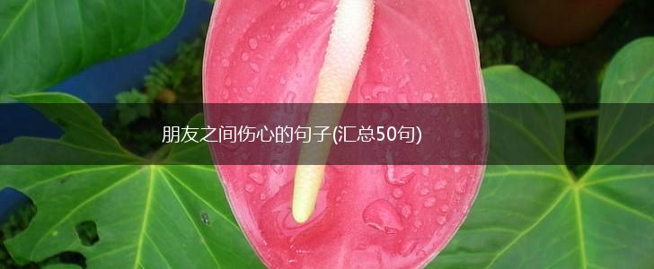 朋友之间伤心的句子(汇总50句),第1张