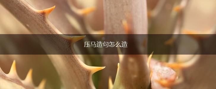 压马造句怎么造,第1张 压马造句怎么造,第1张