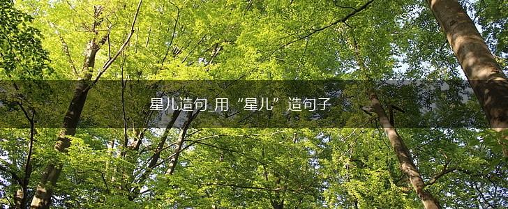 星儿造句_用“星儿”造句子,第1张