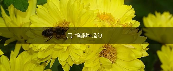 用“跛脚”造句,第1张 用“跛脚”造句,第1张