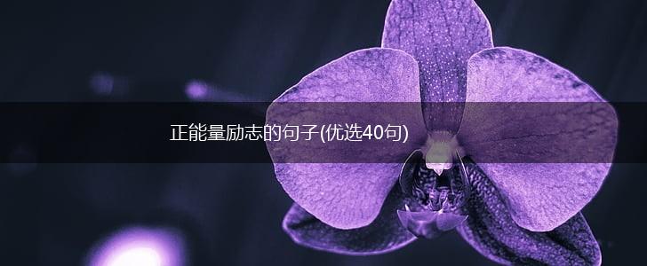 正能量励志的句子(优选40句),第1张
