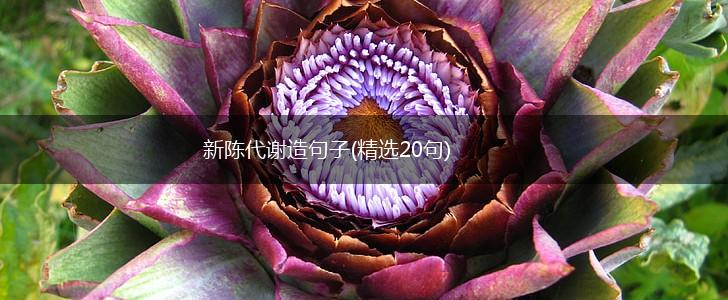 新陈代谢造句子(精选20句),第1张